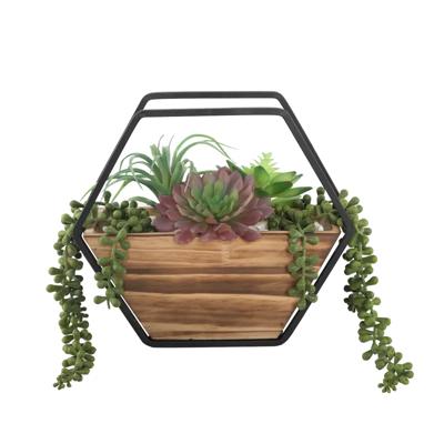 Succulent Mix in Wood Hanging Planter