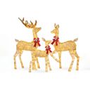  5FT 3-Piece Deer Family Set, 360 LED Lights