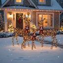 Brown Multi 5FT 3-Piece Deer Family Set, 360 LED Lights