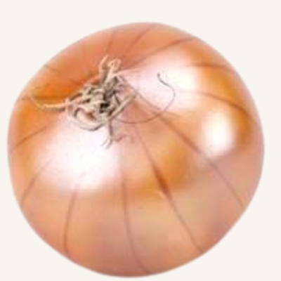 Artificial Onion (NAT)