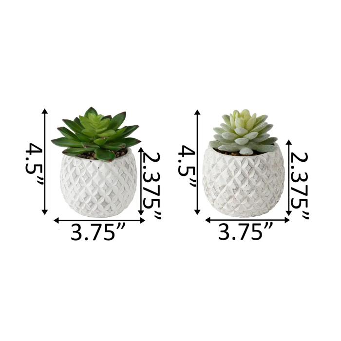 Set of 2 Succulents in Pineapple Planters