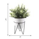  12" Eucalyptus in Planter with Metal Stand