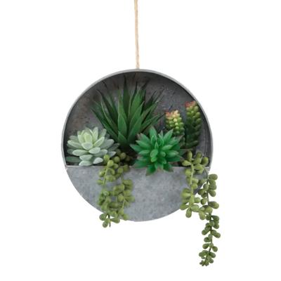 String of Pearl in Hanging Tin