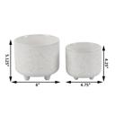   Set of 2 Dragonfly Footed Planters