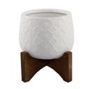  3.5" Indian Planter