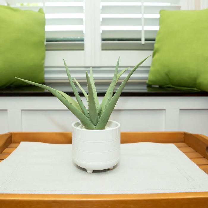 Faux Aloe Plant in White Ceramic Pot – 10.75 Inch Accent