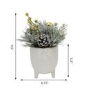  Xmas Mix Snowy Pine in 4.5" Cardinal Planter