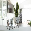 21" Snake Plant in Marble Planter