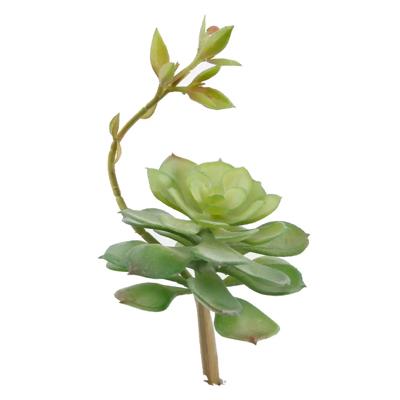 Artificial Echeveria Lola with Stem