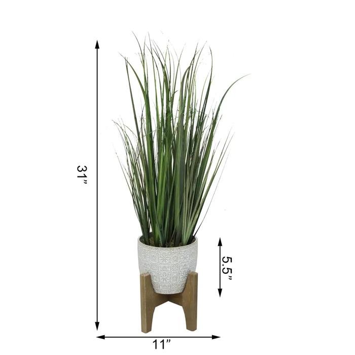 31" Onion Grass in Cathedral Planter