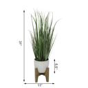  31" Onion Grass in Cathedral Planter