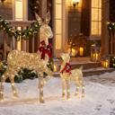  2-Piece 3D Deer Set