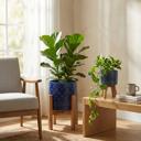  Set of 2 10" & 8" Illuminati Ceramic Planters