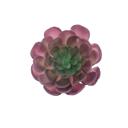 Purple Artificial Large Echeveria with Stem
