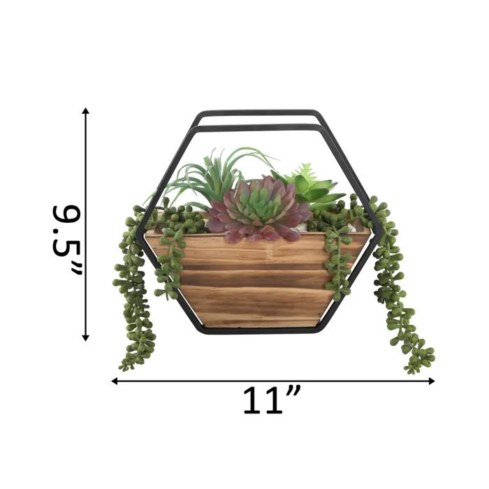 Succulent Mix in Wood Hanging Planter