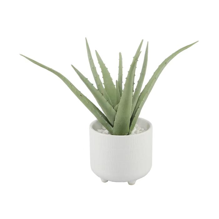 Faux Aloe Plant in White Ceramic Pot – 10.75 Inch Accent
