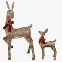 2-Piece 3D Deer Set