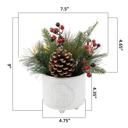  Xmas Mix in 5" Deer Wreath Ceramic Planter 
