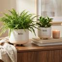  Set of 2 Relax Footed Planters