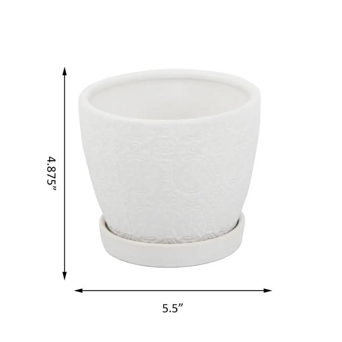5.8" Cathedral Pot with Saucer