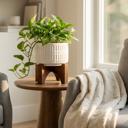  7" Roman White   Ceramic Planter