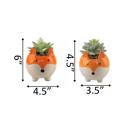  Set of 2 Succulents in Fox Planters