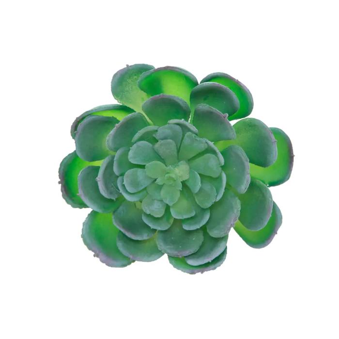 Artificial Large Echeveria with Stem