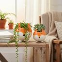  Set of 2 Fox Ceramic Planters