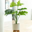  32" Split-leaf in 8" Raindrop Planter
