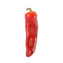 Red Artificial Pepper (GN)