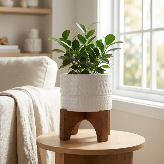 7" Pharaoh Ceramic Planter 