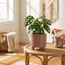  6" Aqueduct Footed Planter