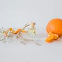 Satsuma Ivy & Sage Car Air Freshener