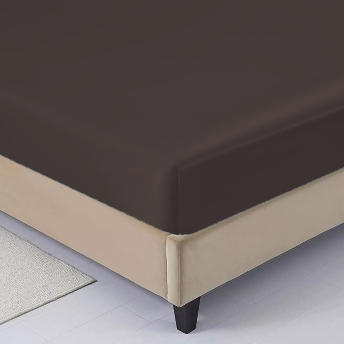 4-Piece Soft & Silk feel Satin Sheet Set with 2 Pillowcases