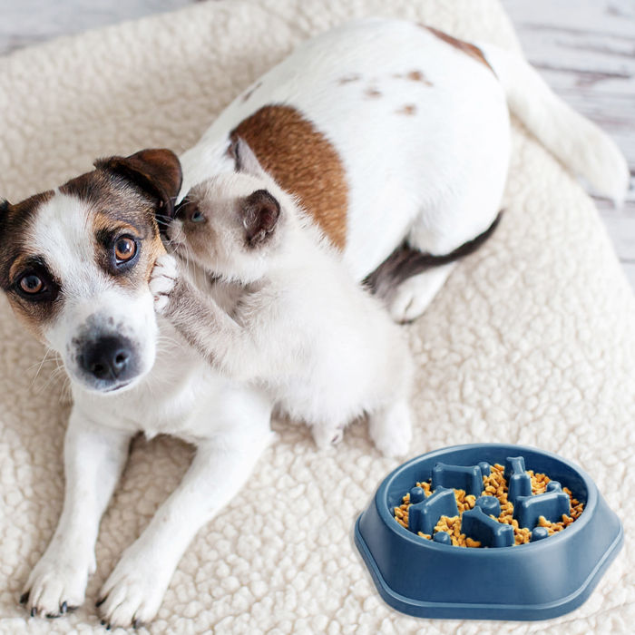 Anti-Choking Slow Feeder Dog Food Treats Bowl