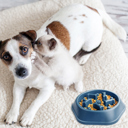 Blue Anti-Choking Slow Feeder Dog Food Treats Bowl
