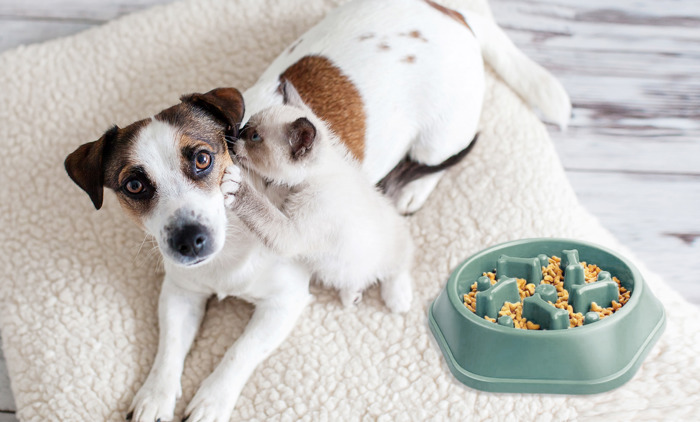 Anti-Choking Slow Feeder Dog Food Treats Bowl
