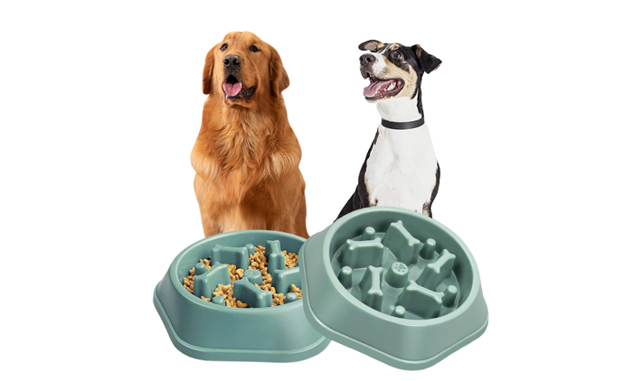 Anti-Choking Slow Feeder Dog Food Treats Bowl