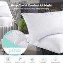 White Queen 2-Pack | Soft & Plush Fiber Fill Adjustable Cooling Sleeping Pillow