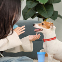 Puppy Portable Silicone Pet Dog Cat Paw Feet Cleaning Brush Bottle