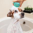 1-Pack Soft Silicone Pet Bath Brush with Shampoo Dispenser Easy Grooming & Massage Scrubber for Dogs & Cats (1 or 2 Pack)