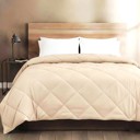 Cream Queen All-Season Lightweight Solid and Reversible Microfiber Comforter