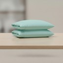 Aqua King 2-Pack Ultra Soft Rayon from Bamboo Cooling Pillowcase Soft & Durable Everyday Comfort