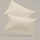 Cream King 2-Pack Ultra Soft Rayon from Bamboo Cooling Pillowcase Soft & Durable Everyday Comfort