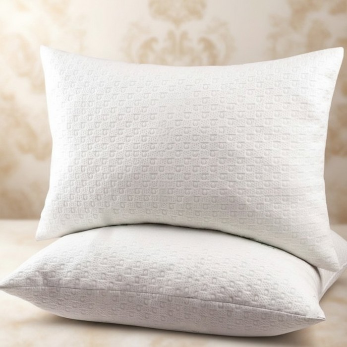 2-Pack | Soft & Plush Fiber Down Alternative Rayon from Bamboo Sleeping Pillow