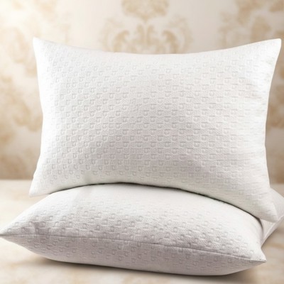 2-Pack | Soft & Plush Fiber Down Alternative Rayon from Bamboo Sleeping Pillow