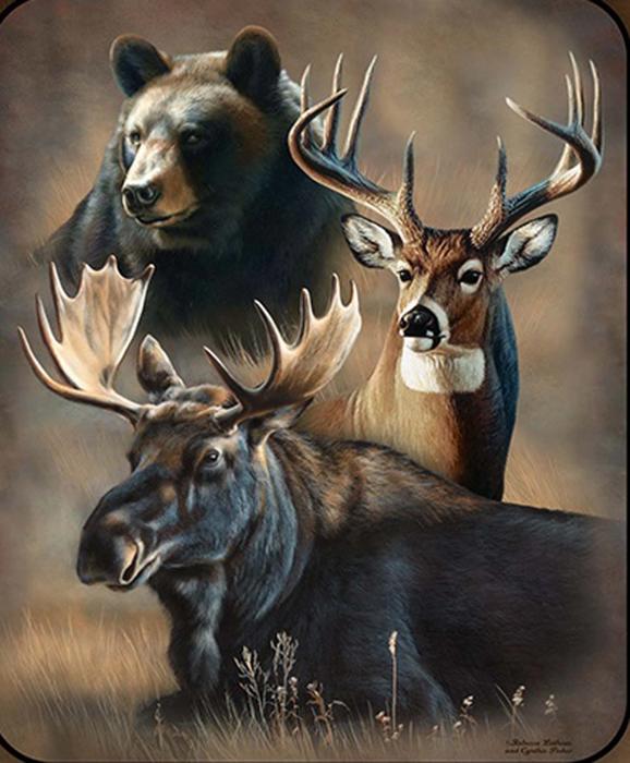 Wilderness Blanket ? Dynamic Trio Edition, Plush Queen Throw, Extremely Soft