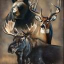 Queen Wilderness Blanket ? Dynamic Trio Edition, Plush Queen Throw, Extremely Soft