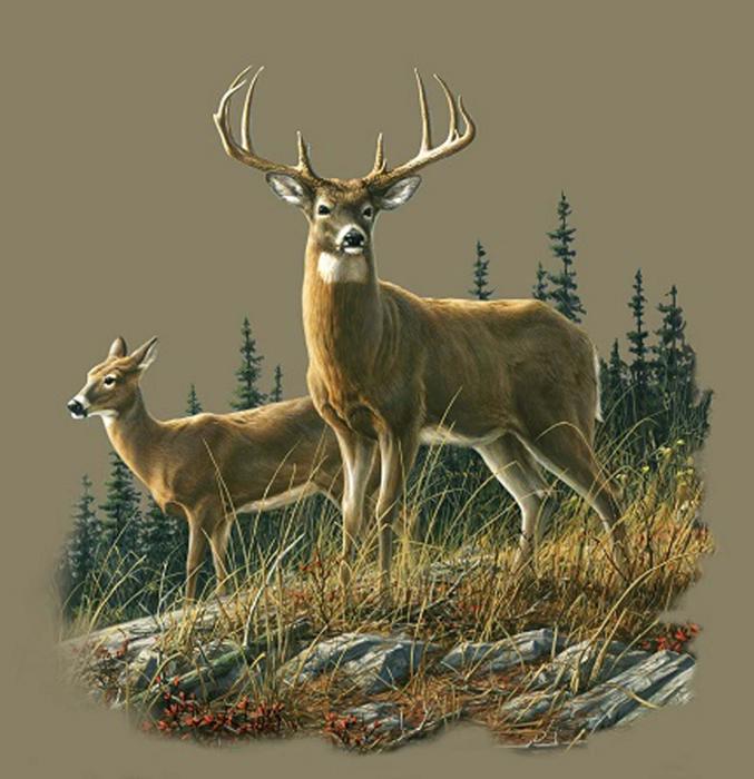 Autumn Whitetails Deer Blanket ? Plush Queen Size, Cozy & Warm