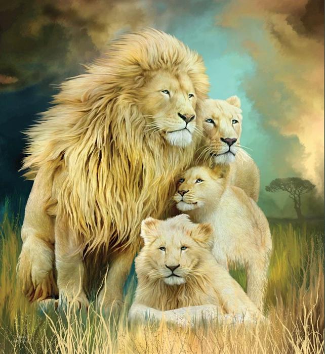 Lion Family Blanket ? Ultra Soft Queen Plush Throw, Machine Washable